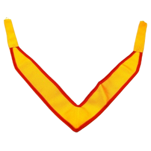 Collerette d'Officier Provincial, District ou inspectorat