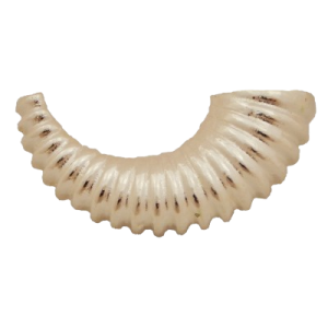 OCE Corne à fixer sur un bijou de 3° pour un Président